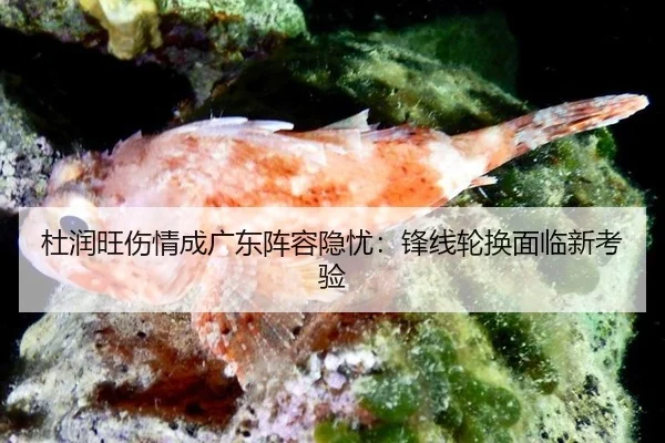 du-run-wang-shang-qing-cheng-guang-dong-zhen-rong-yin-you-feng-xian-lun-huan-mian-lin-xin-kao-yan-2-903.jpg